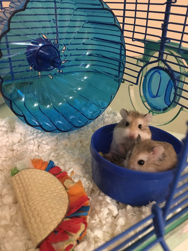 0648c868-1d97-485d-8d06-f451aae9292a