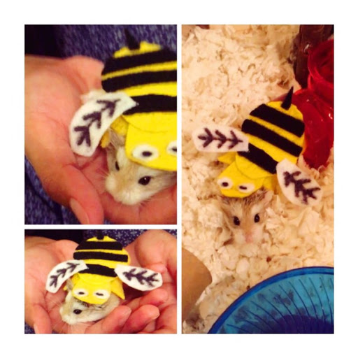 71763c47-a5a3-49f9-907f-98553fc87677