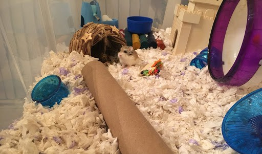 ba5222e8-8628-46a7-959c-59c3d1313f3b