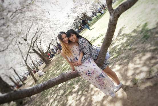 56549452_1256265921193651_6078165007797846016_n