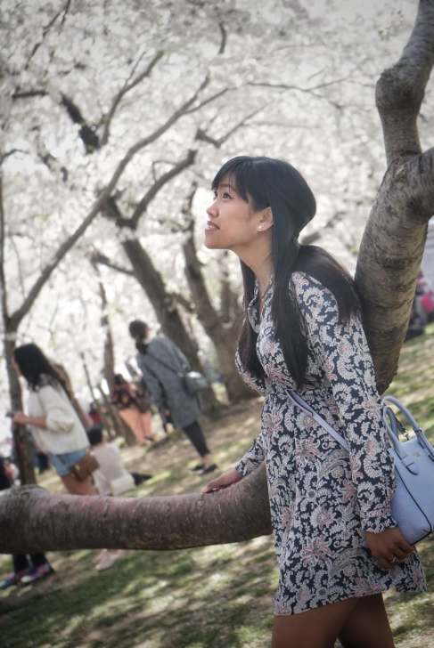 56673238_285946405658931_4661176492787499008_n