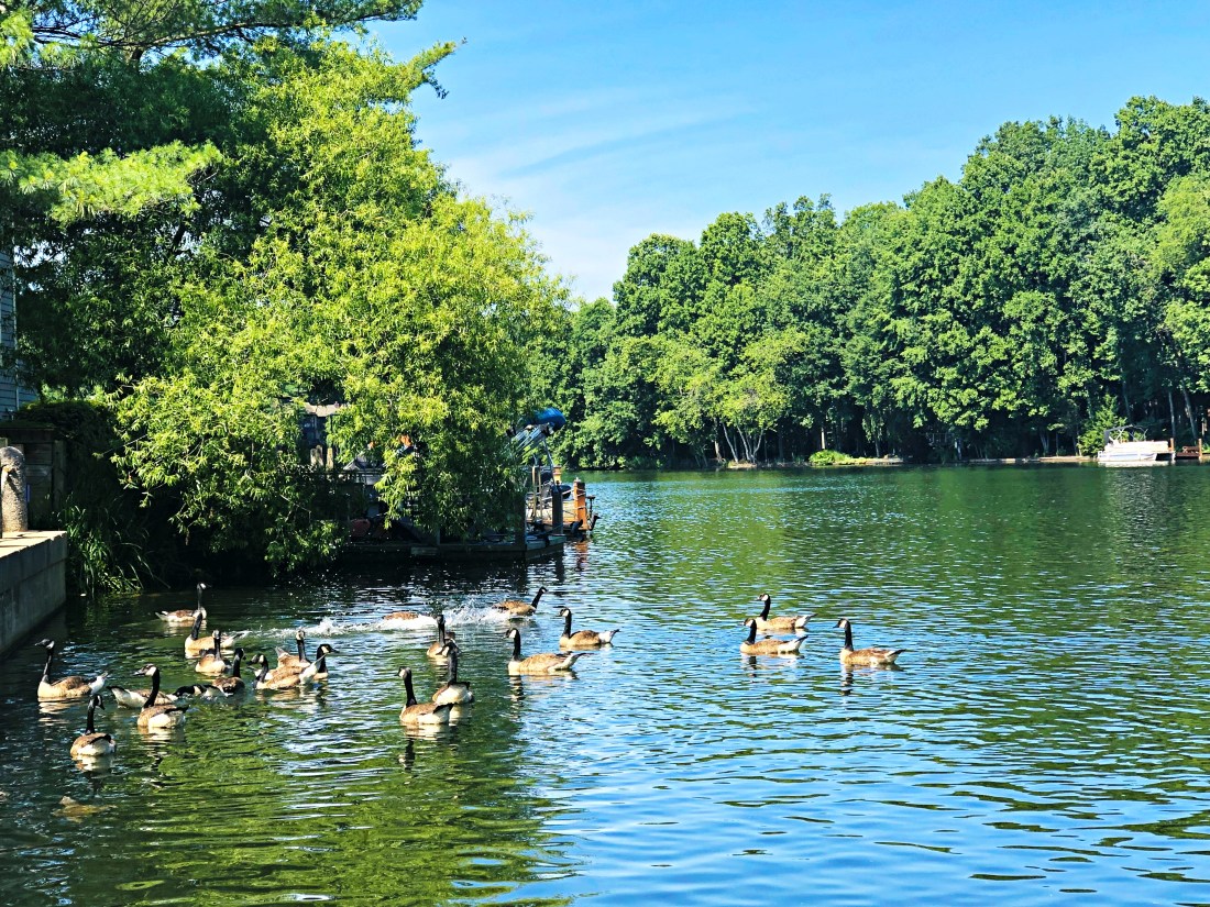 Mobile Image (1).jpg