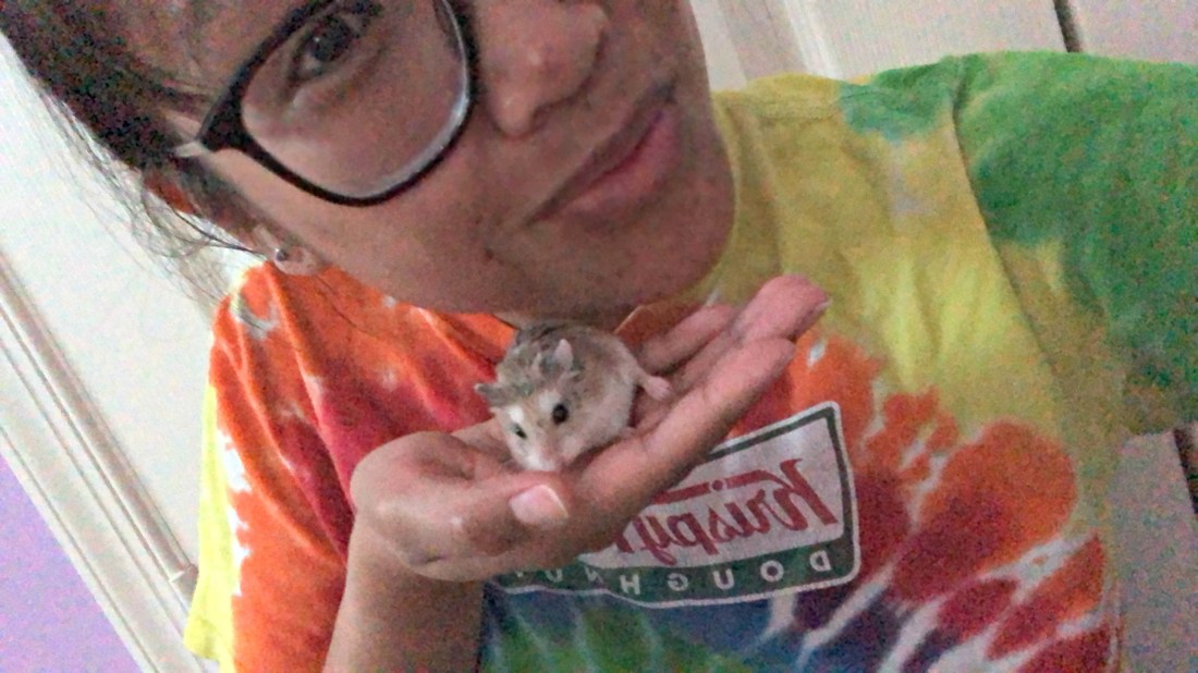 Mobile Image (3).jpg