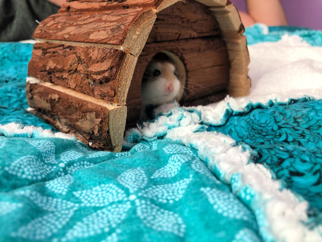 2019-11-04T16_21_20.733Z copy.jpg