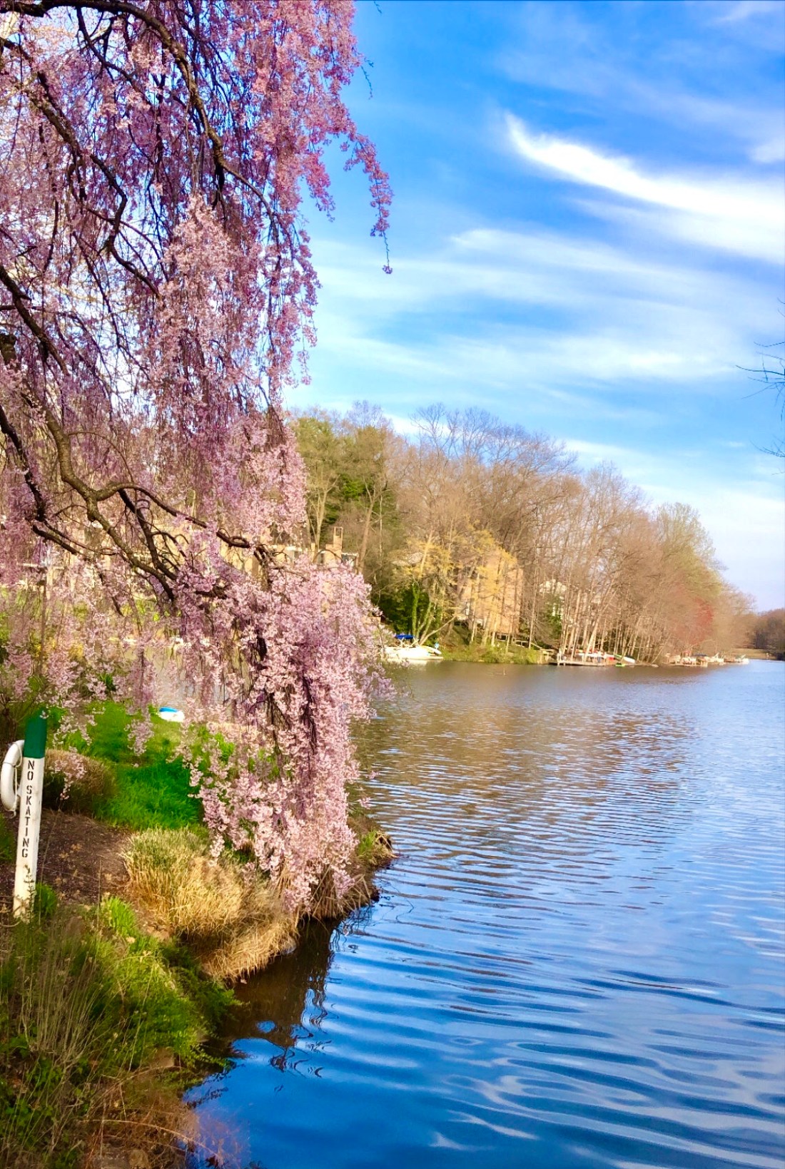 2020-03-30T14_16_47.448Z