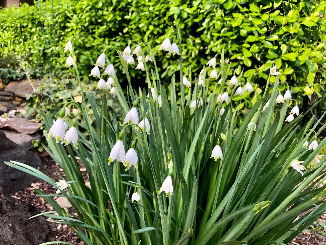 2020-03-30T14_17_35.795Z