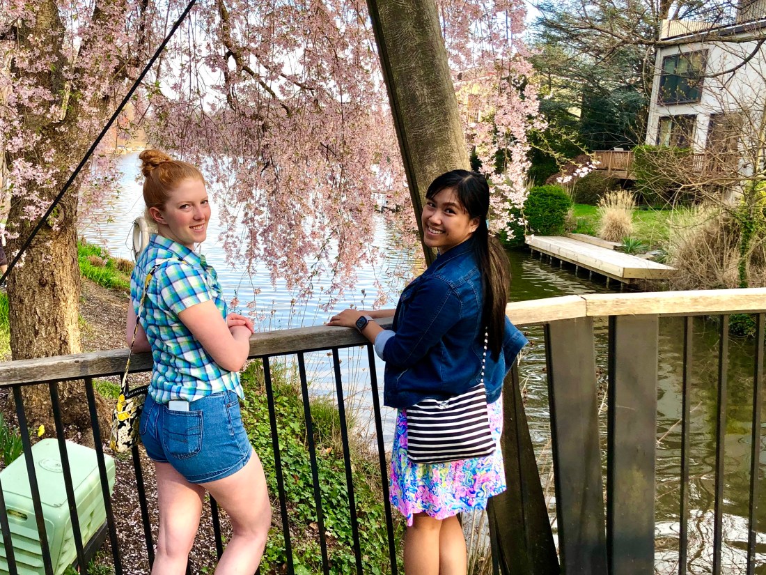 2020-03-30T14_17_38.733Z