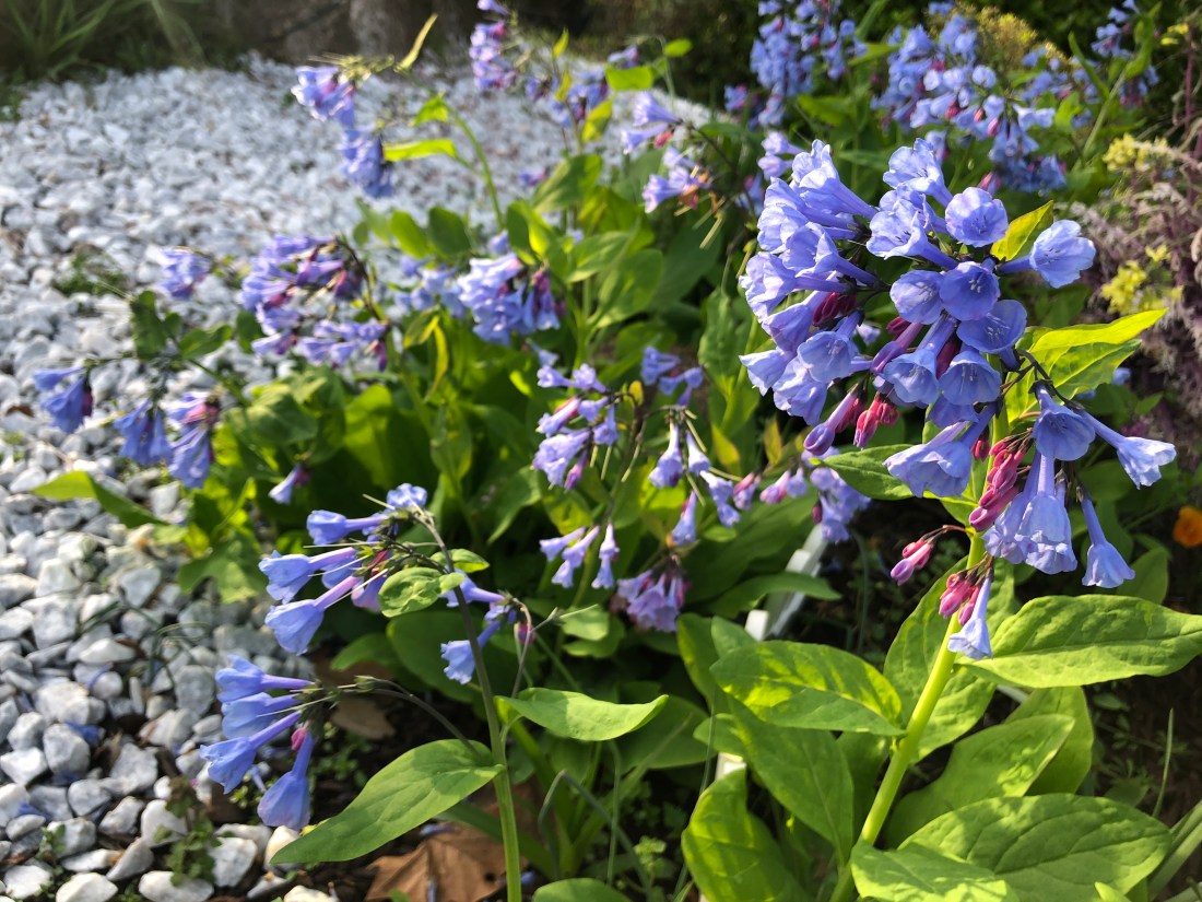 2020-03-30T14_17_59.070Z