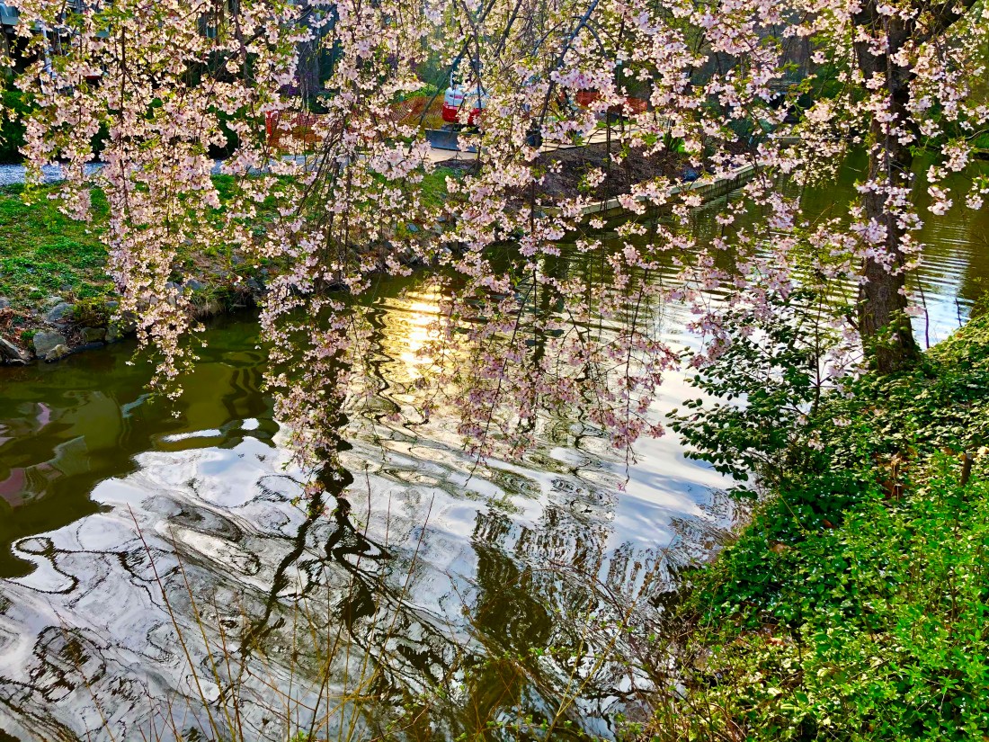 2020-03-30T14_18_02.975Z