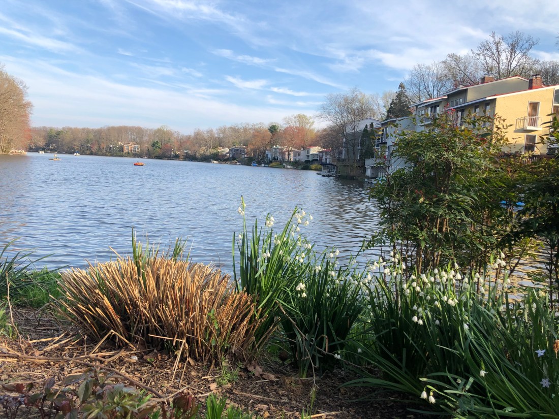 2020-03-30T14_18_03.120Z